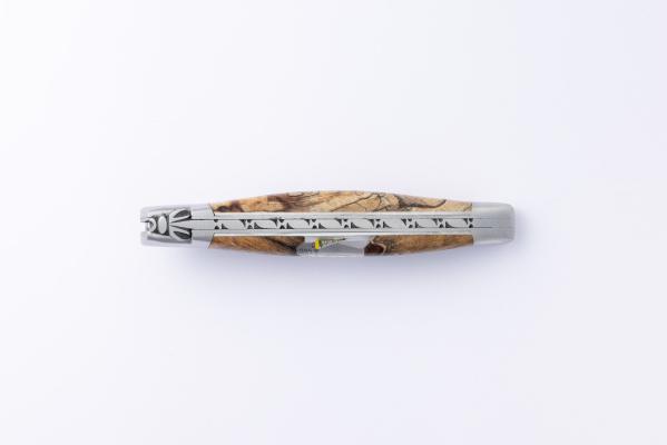 12AFIINCLUSIONMOUCHE