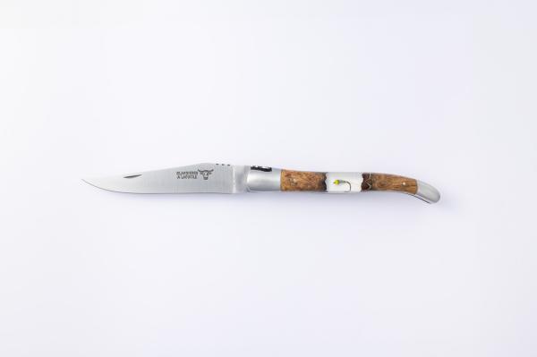 12AFIINCLUSIONMOUCHE